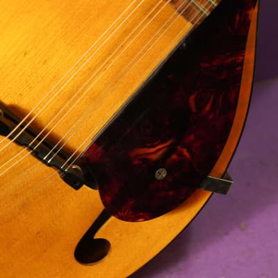 1940s Gibson Kalamazoo KMN-12 Oriole-style A-Style Archtop Mandolin (VIDEO! Fresh Work, Good to Go) image 6