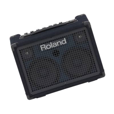 Roland KC-220 30-Watt Battery-Powered Onboard Mixing Stereo Keyboard Amplifier image 2