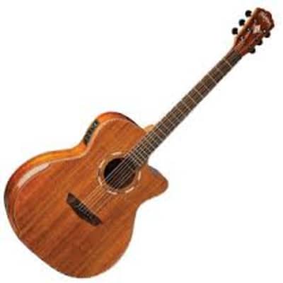 Washburn Comfort Series WCG55CE-O, Koa Top, Back, Sides, New, Free Shipping for sale