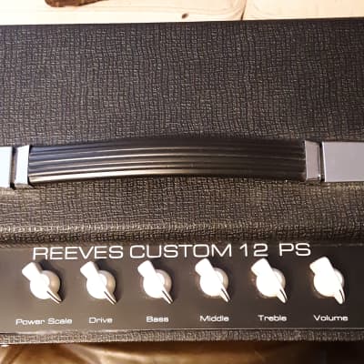 Reeves Custom 12 PS image 6