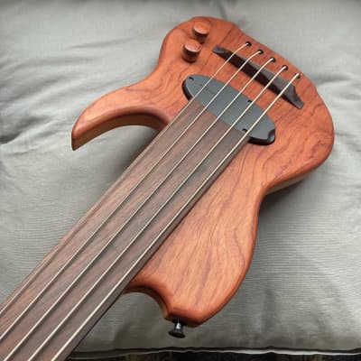 Letts WyRD mini bass with Delano theExtender 2022 image 1