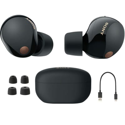  Sony WF-1000XM5 Truly Wireless Noise Canceling Earbuds (Black)  Bundle with Hard Shell Earbud Case (2 Items) : Electronics