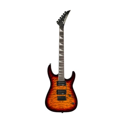 【中古】 30 Ans De Presence / 30 Ans D’a Ibanez AM205 Artist | Reverb Canada