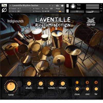 IndigiSounds Laventille Rhythm Section Sample Library - Virtual Instrument (Download) image 3