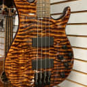 Tiger Striped Bass