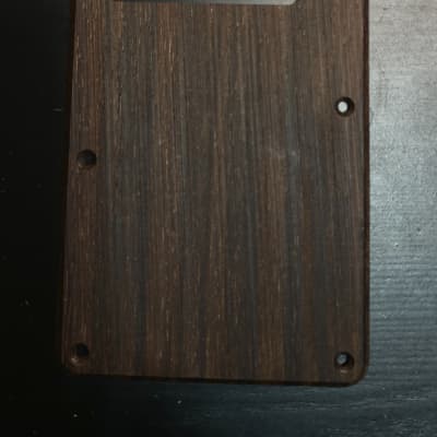 [Guilford] Indian Rosewood Stratocaster Strat Tremolo backplate - Made in USA for sale