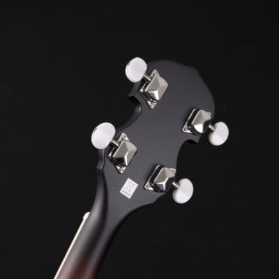 Washburn B7 | Open-Back 5-String Banjo. New with Full Warranty! image 11
