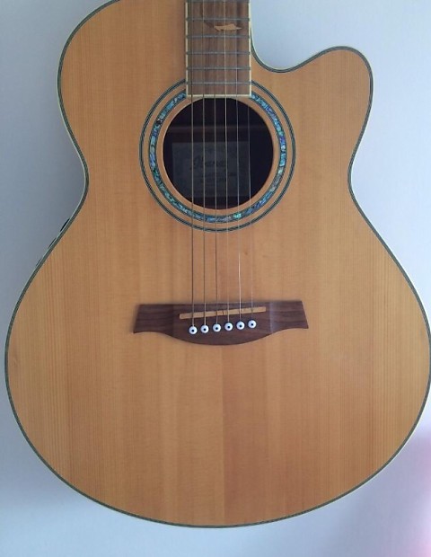 Ibanez ael 40 sale