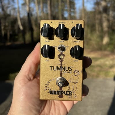 ギター kingsley Maiden D V2 Can you get the Dumble sound from a valve preamplifier pedal