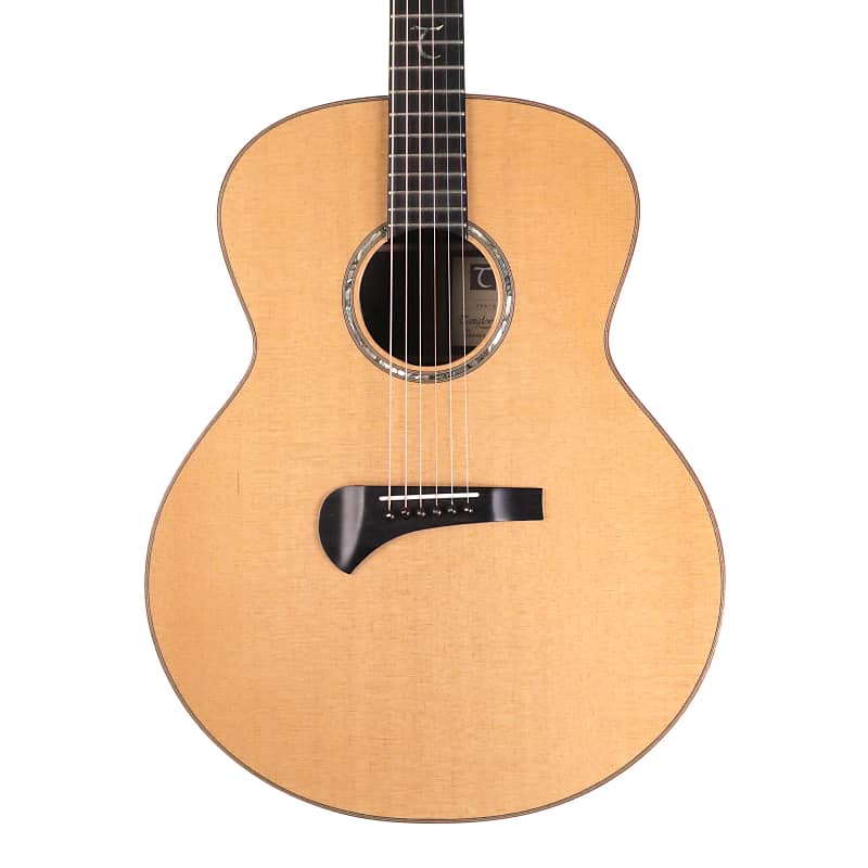 Tanglewood Michael Sanden Master Design TSR-3 Acoustic Guitar with Hard Case image 1