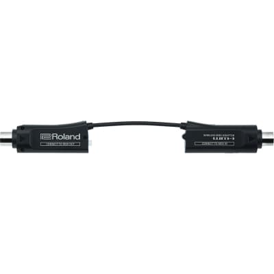 Roland WM-1 image 2