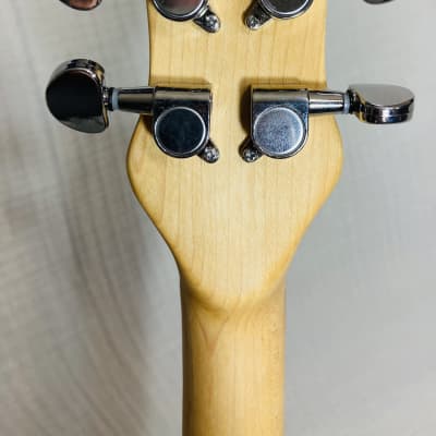 Turtle shell 4 string fretless slide guitar image 16