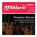D'Addario EPBB170 Phosphor Bronze Long Scale Acoustic Bass Strings (45-100)
