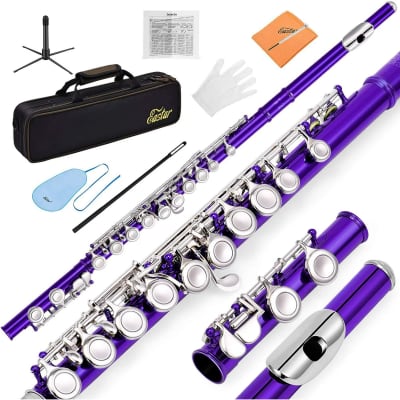 New C Flute Closed Hole Musical Instrument 16 Key Student Flute Beginner Set with Case image 1