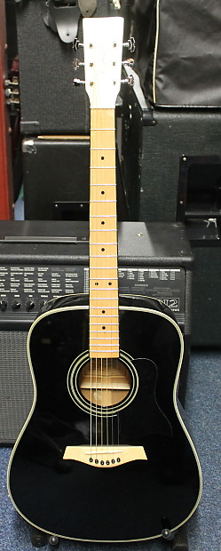 Tanglewood seagull hot sale acoustic guitar