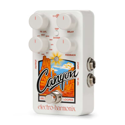 Electro-Harmonix EHX Canyon Delay & Looper Effects Pedal image 4