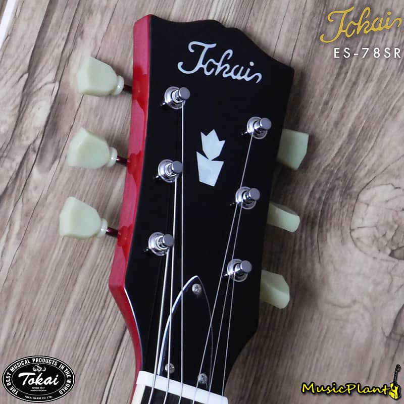 TOKAI ATE105 ※最終値下げ！ 楽天市場】Tokai ATE105 BB/R 新品 ブラック[トーカイ,東海楽器