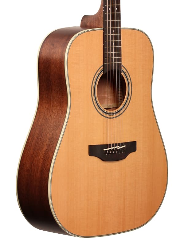 Takamine GD20 NS G20 Series Dreadnought Acoustic Guitar Natural