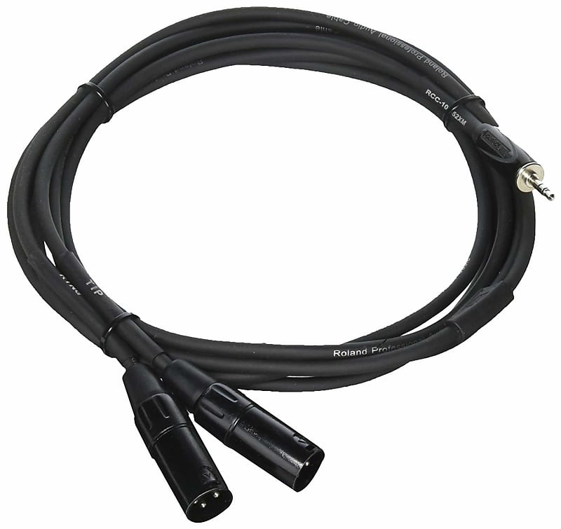 Roland RCC-10-352XM Black Series Balanced Interconnect 3.5mm to 2 XLR 10' Cable image 1