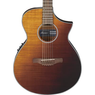 Ibanez AEw22CD-NT1201 Gloss | Reverb