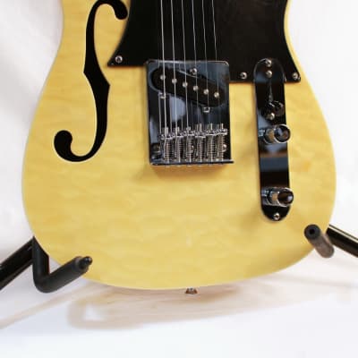 2015 Legator Opus OTH-200SE Semi-Hollow 'T' Style Electric Guitar in Cream Finish image 7