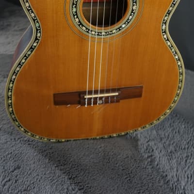 Ezo shop spruce guitar