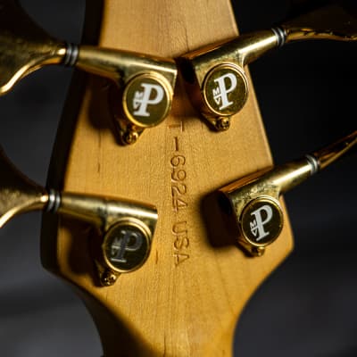 Pedulla Thunderbolt 5-String image 13