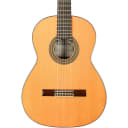 Cordoba Solista CD/IN Acoustic Nylon String Classical Guitar Regular
