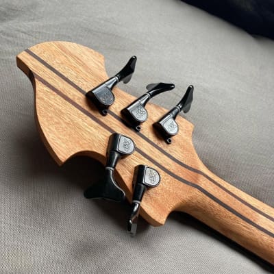 Letts WyRD mini bass with Delano theExtender 2022 image 4