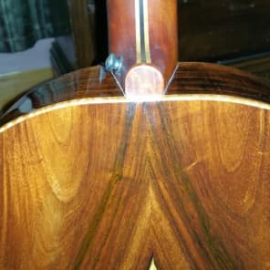 Brazilian Rosewood Acoustic/Electric Guitar made by NC Master Luthier Gray Burchette Sloped D Dread image 23