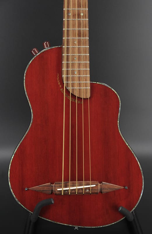 Rick Turner Renaissance RB5 5-String Bass Rare Indian Rosewood/Cedar image 1