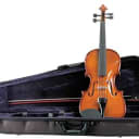 Palatino VN450 Vivace Allegro Violin Outfit, 4/4