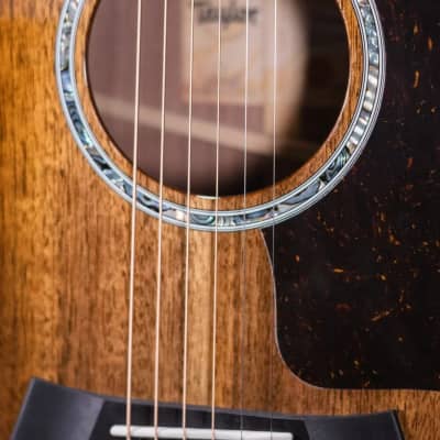 Taylor 424ce Special Edition Walnut Grand Auditorium Acoustic/Electric Guitar - Shaded Edge Burst with Hardshell Case image 10