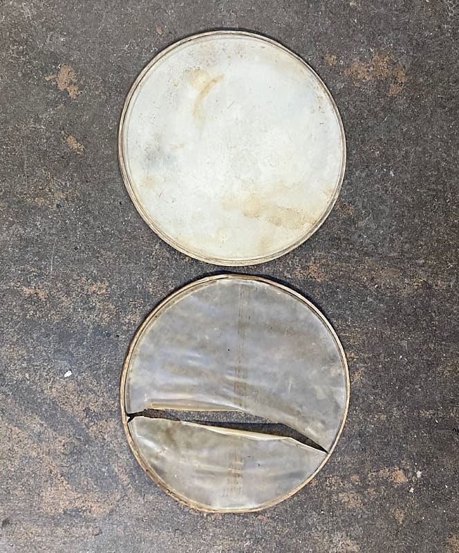 Slingerland 14" Calf Skin Drum Heads Vintage 1930's (Pair) Reverb