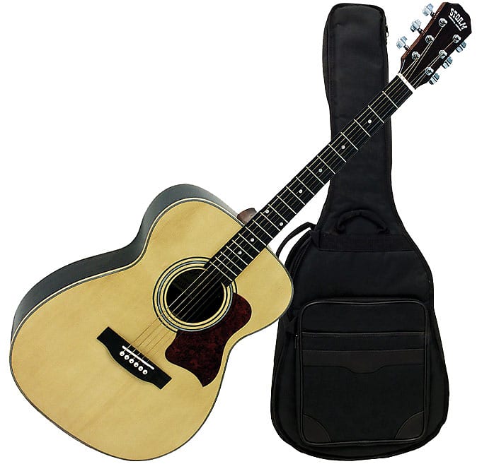 Storm F80GN-BAG acoustic guitar image 1