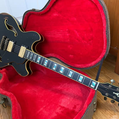 エレキギター・ベース】-Ibanez-薄胴フルホロウのフラッグシップ