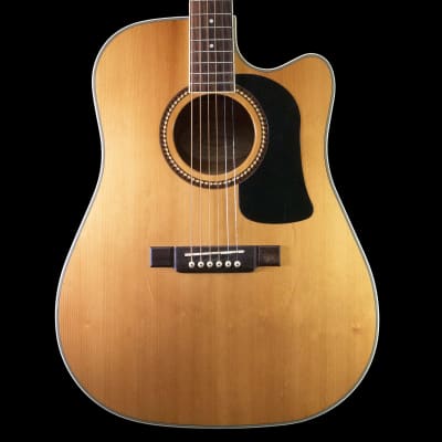 Washburn Heritage D10SCE Electro Acoustic (Natural) image 1