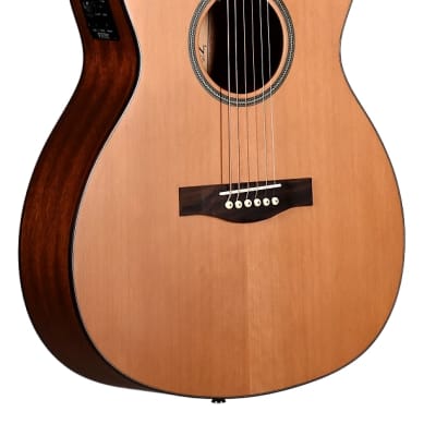 Teton STG105CENT 105 Series Grand Concert Solid Cedar Top Mahogany Neck 6-String Acoustic-Electric Guitar w/Hard Case for sale