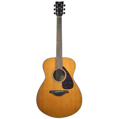 Yamaha - FS800 T - Concert Acoustic Guitar - Tinted Solid Top image 3