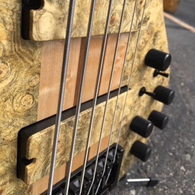 Schecter USA Custom Shop Masterworks Custom Riot-6  Buckeye Burl 6-String Bass w/ Pro Gig Bag NOS image 3