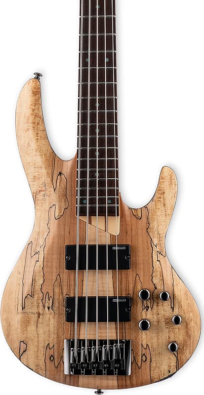 ESP LTD B-205SM 5-String Bass Guitar, Natural Satin image 1
