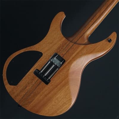 No brand [USED] ACACIA Guitars Romulus 6 Backeyeburl Top (Natural) [SN.WM7010] image 2