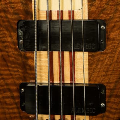 Used Alembic 5-String Bass image 6