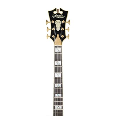 D'Angelico Excel 59 Hollowbody Guitar, Ebony Fretboard, Single Cutaway, Viola, DAE59VIOGT, New, Free Shipping image 11
