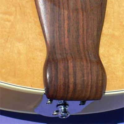 c. 1984 Fender  D'Aquisto Standard, Highly Figured 16" Birdseye Maple Body,  Twin Humbuckers, Showroom Condition! image 11