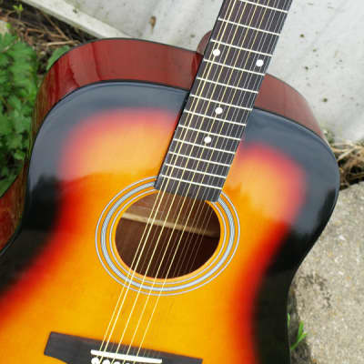 Indiana S-SCOUT-12-TB Dreadnought Spruce Top 12-String  Acoustic Guitar Limited Edition w/Gig Bag image 5