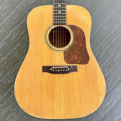Gallagher Dreadnought Acoustic Guitar, G-45, 1970 for sale