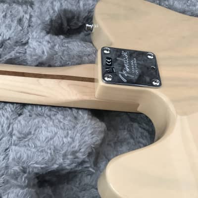 2019 Fender American Pro Telecaster LTD Lightweight Honey  Blonde Rosewood image 13