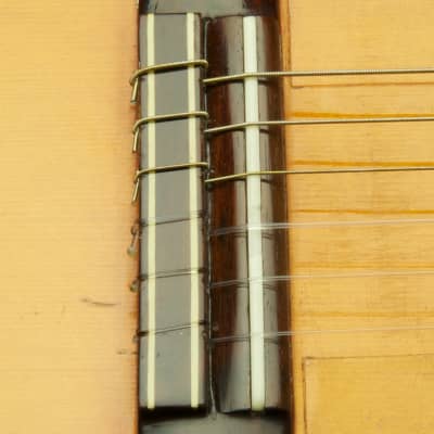 Classical Guitar Belly Bodyguard by Bluedog Guitars image 3
