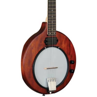 Gold Tone Model EB-5: 5-String Solid Body Electric Banjo with Gig Bag image 10